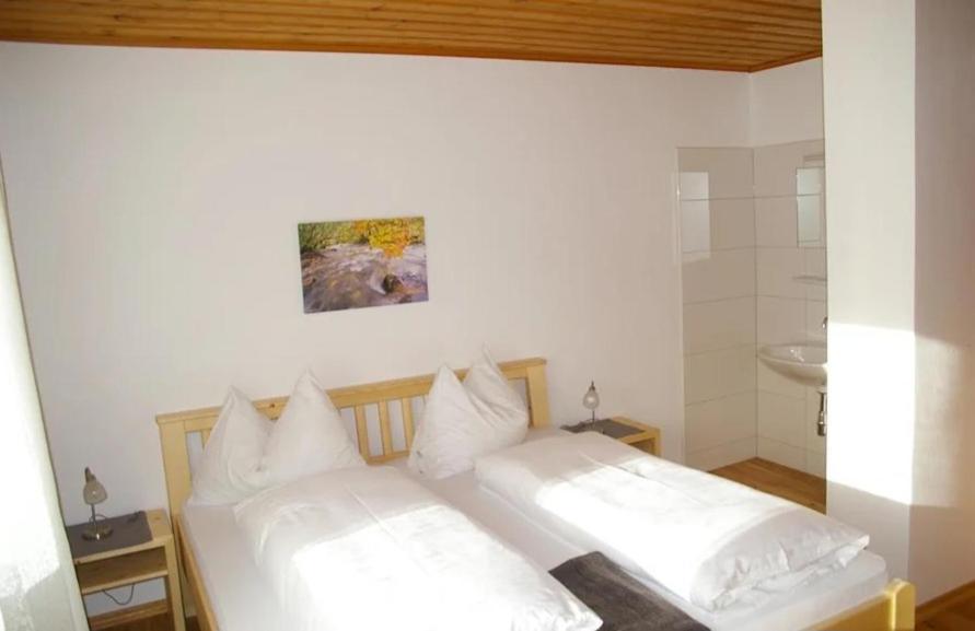 Haus Brigitte Rettensteiner Schladming Εξωτερικό φωτογραφία